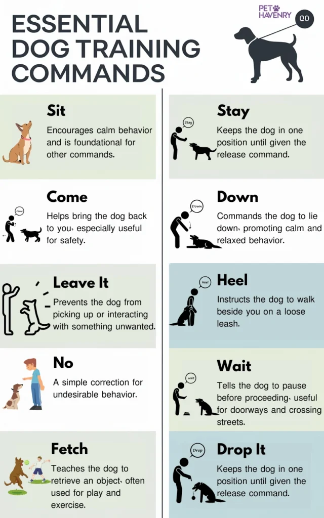 Dog Training Commands