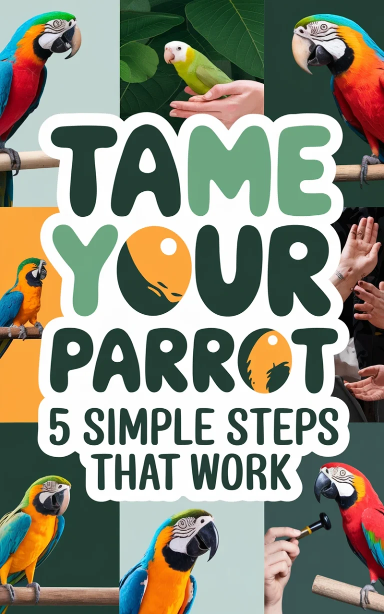 TAME YOUR PARROT