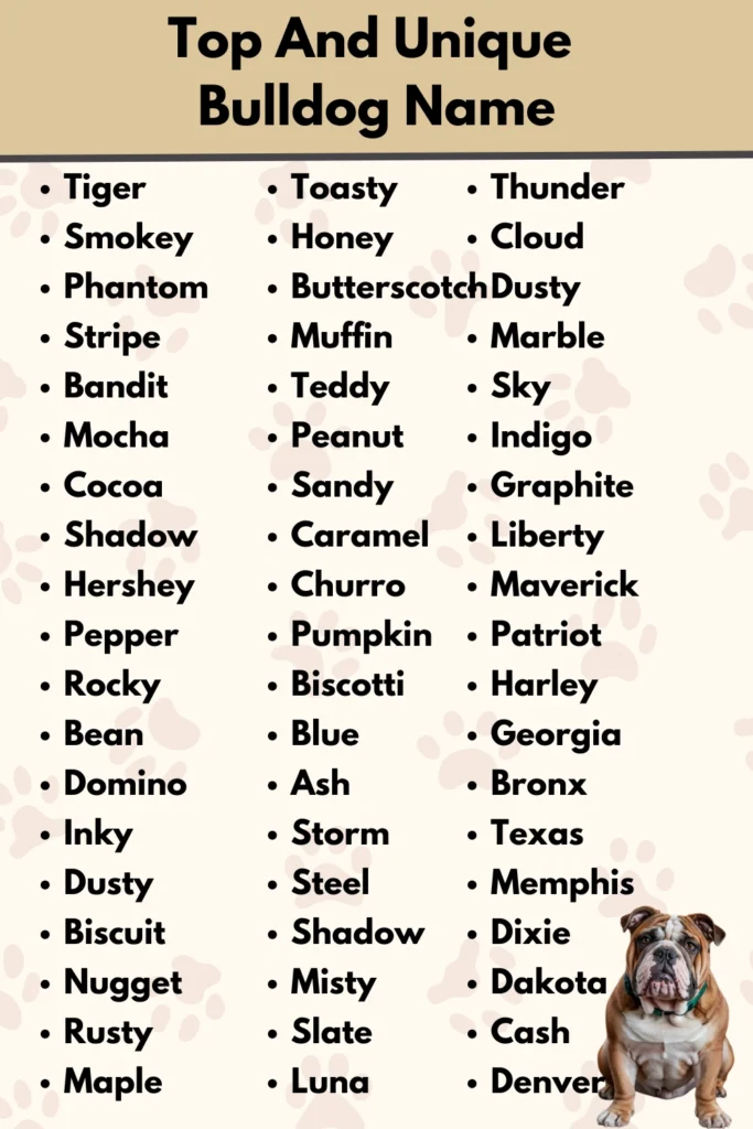 Top And Unique
Bulldog Name