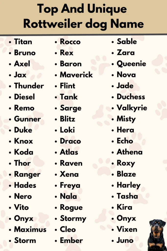 Top And Unique
Rottweiler dog Name