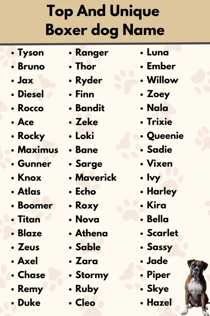 Top And Unique 
Boxer dog Name