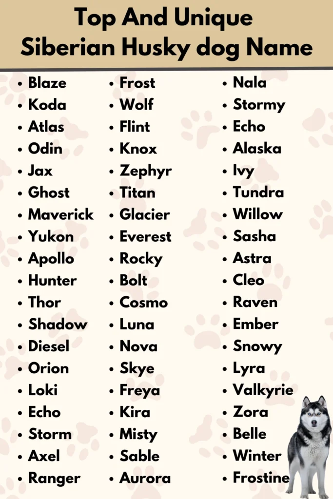 Top And Unique
Siberian Husky dog Name