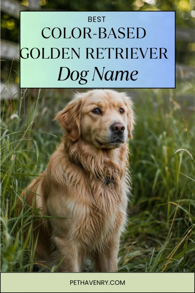Color-Based Golden Retriever Dog Names