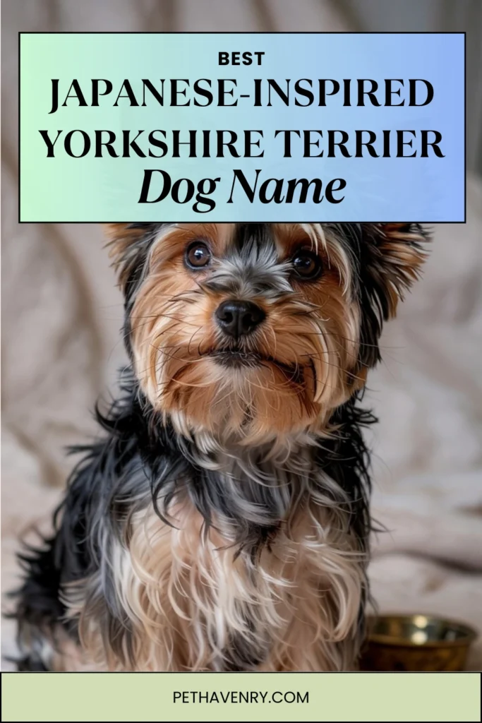 Japanese-Inspired Yorkie Names