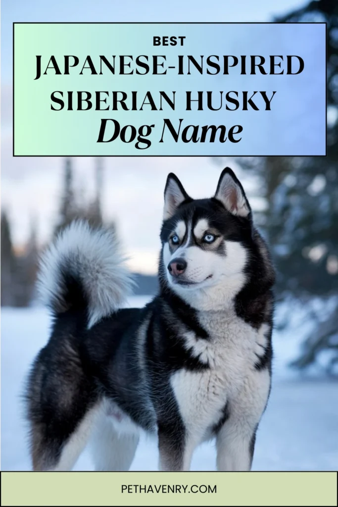 Japanese-Inspired Siberian Husky Names