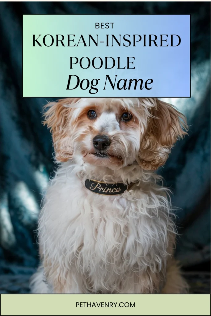 Korean-Inspired Poodle Names
