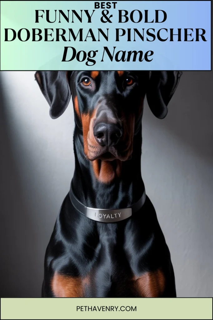 Funny & Bold Doberman Names