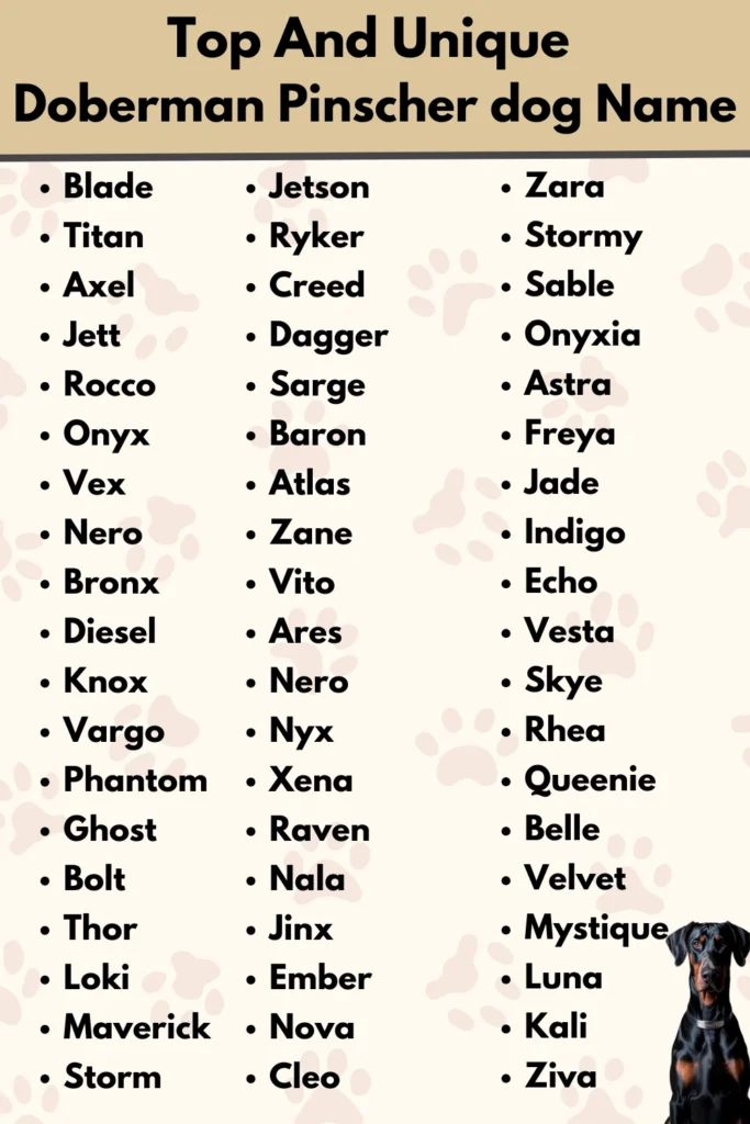 Top And Unique
Doberman Pinscher dog Name