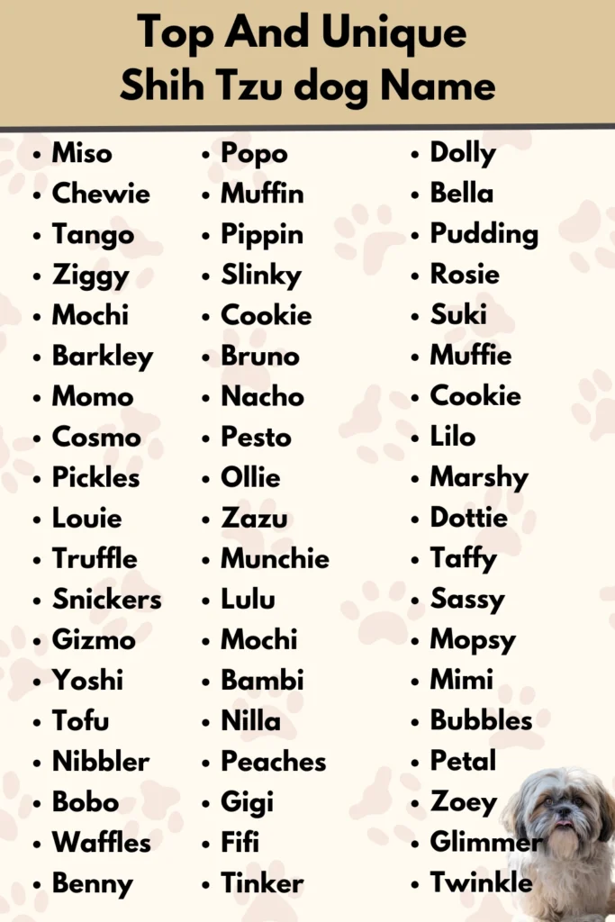Top And Unique
Shih Tzu dog Name