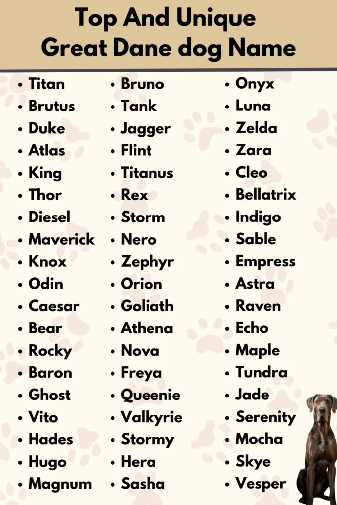 Top And Unique
Great Dane dog Name