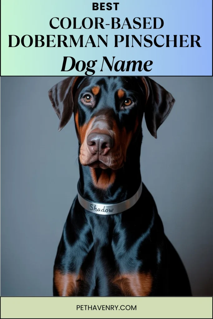 Color-Themed Doberman Names