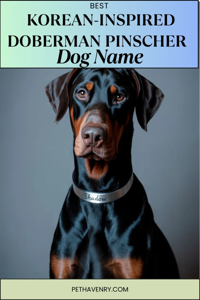 Korean-Inspired Doberman Names