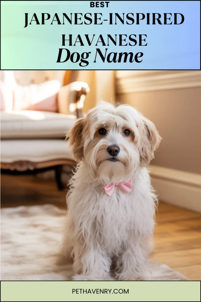 Japanese-Inspired Havanese Names