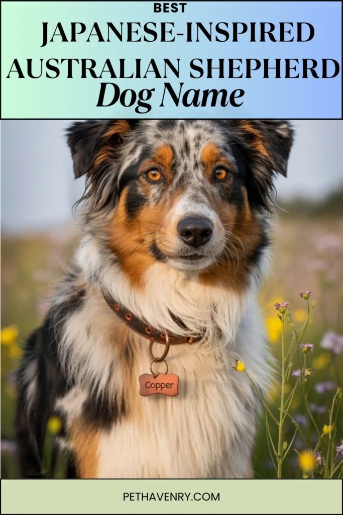 Japanese-Inspired Aussie Names