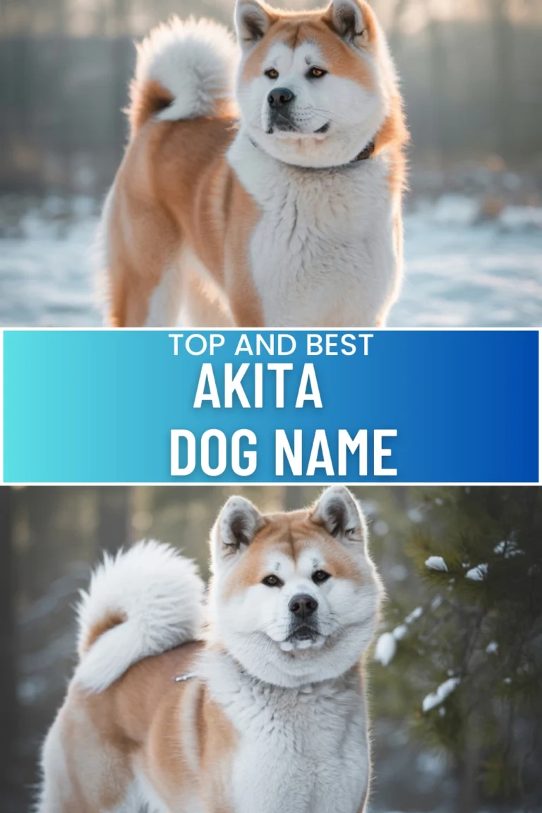 Akita Dog Names