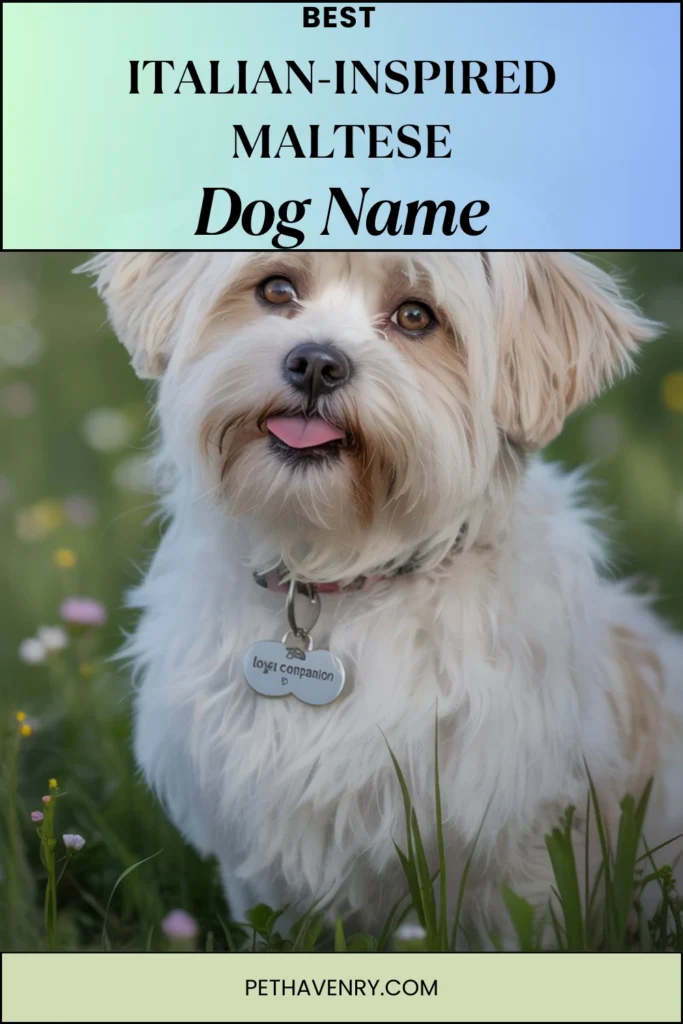 Italian-Inspired Maltese Names